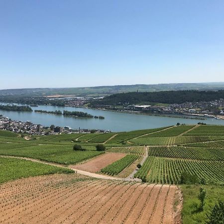 Rüdesheimer Wohlfühloase Rüdesheim am Rhein Exterior foto