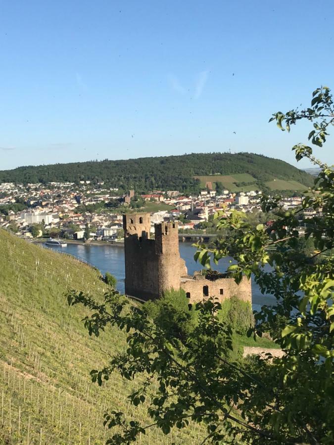 Rüdesheimer Wohlfühloase Rüdesheim am Rhein Exterior foto